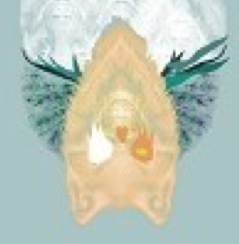 Avatar photo